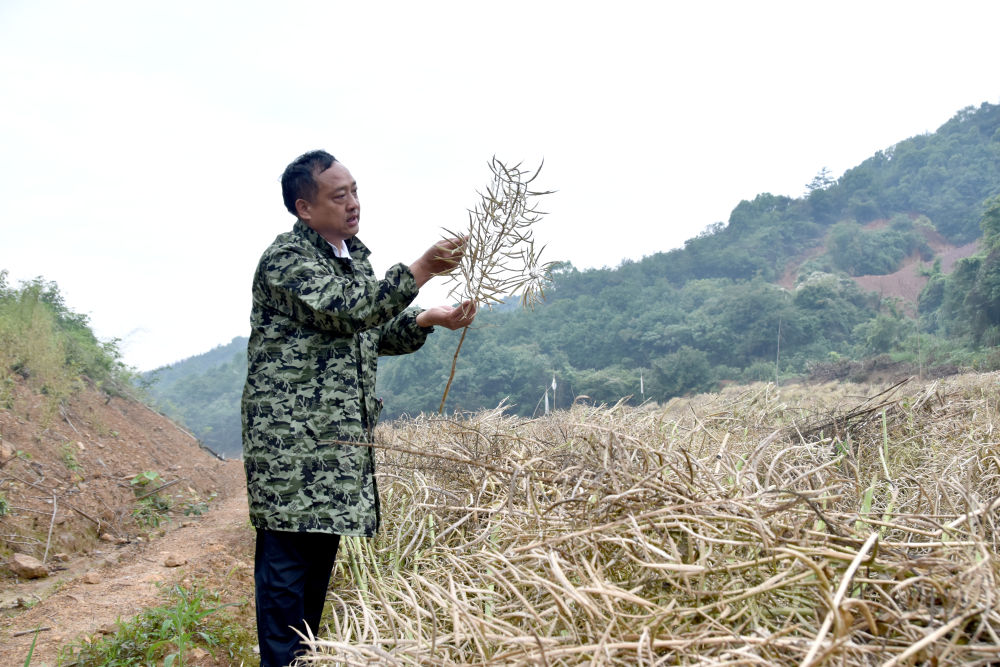 从小院议事到共商国是——中国两会民主故事