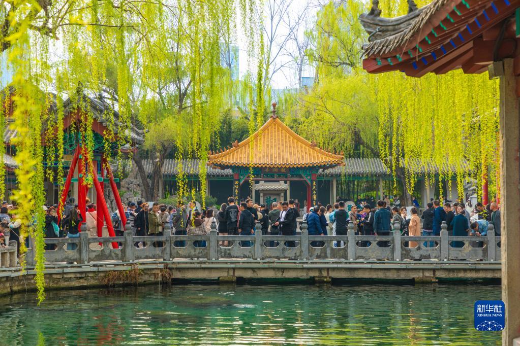 诗意中国——万条垂下绿丝绦