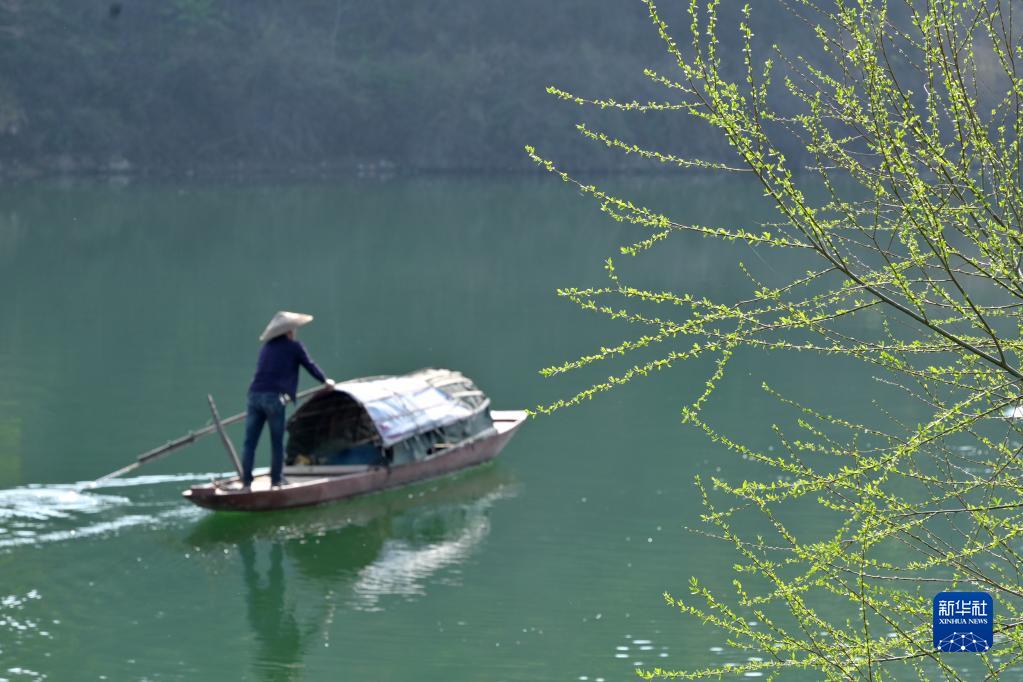 诗意中国——万条垂下绿丝绦