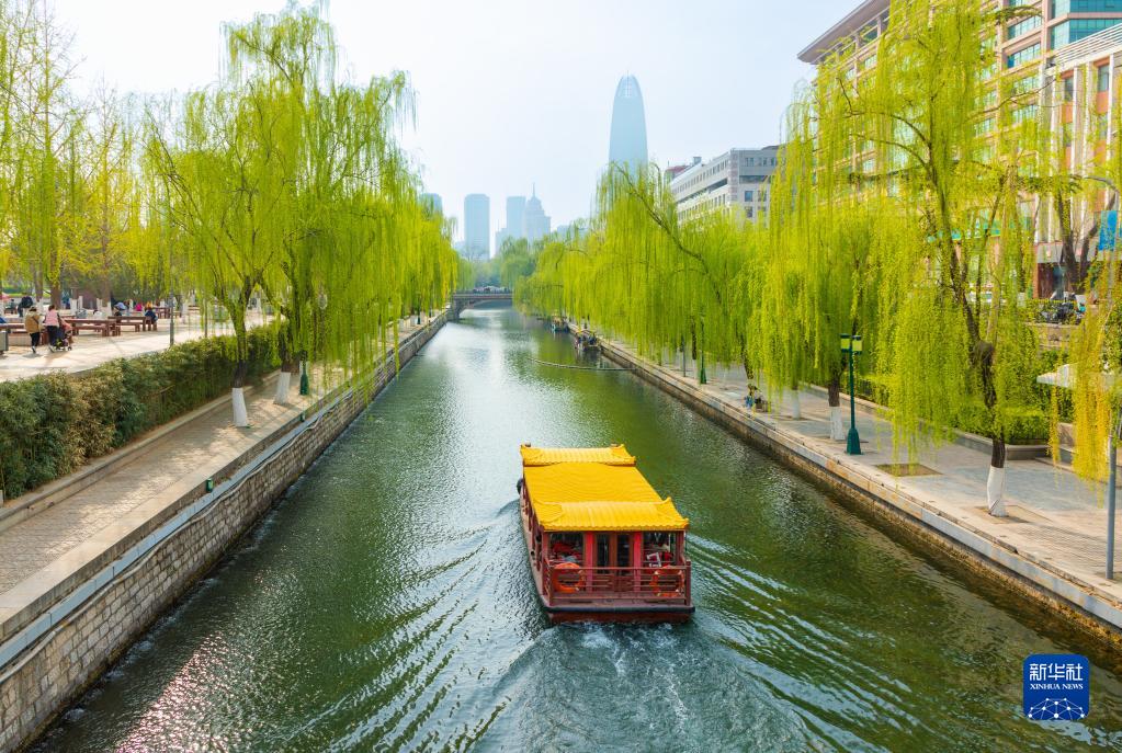 诗意中国——万条垂下绿丝绦