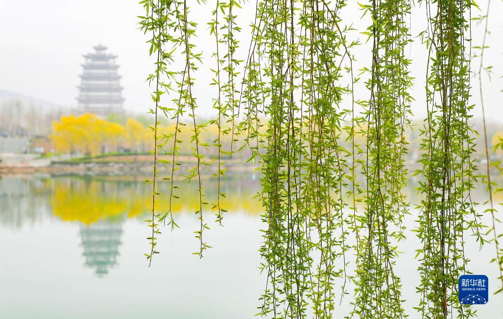 诗意中国——万条垂下绿丝绦