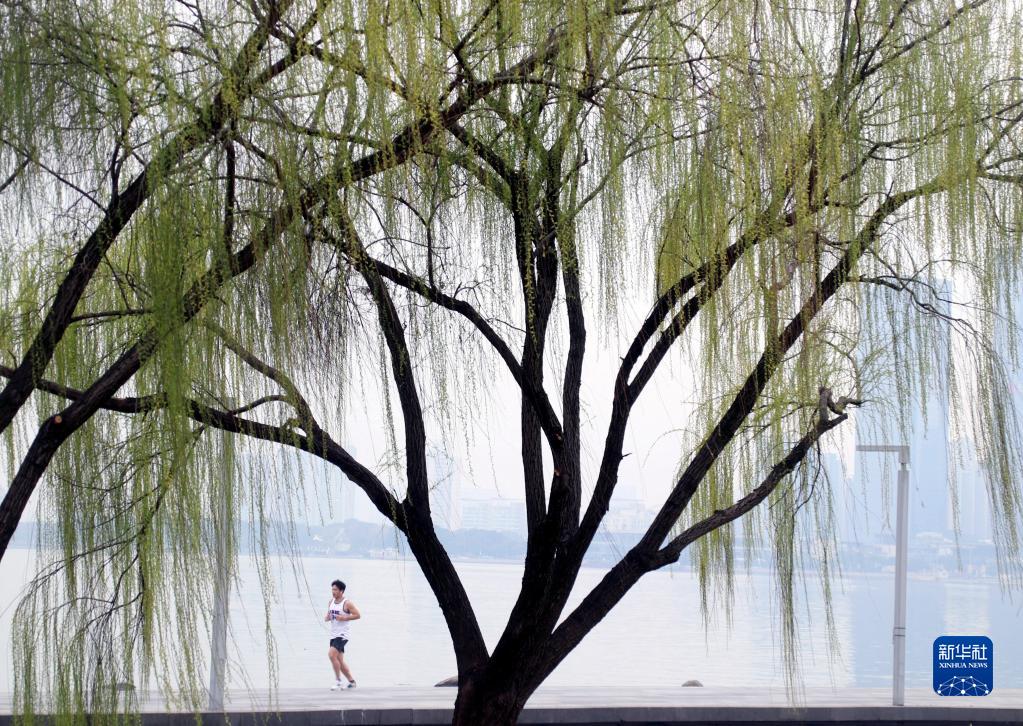 诗意中国——万条垂下绿丝绦