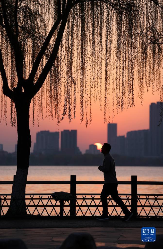 诗意中国——万条垂下绿丝绦