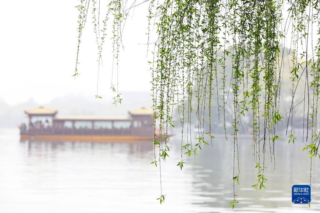 诗意中国——万条垂下绿丝绦