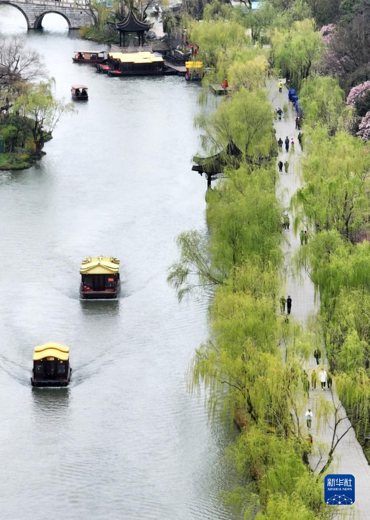 诗意中国——万条垂下绿丝绦