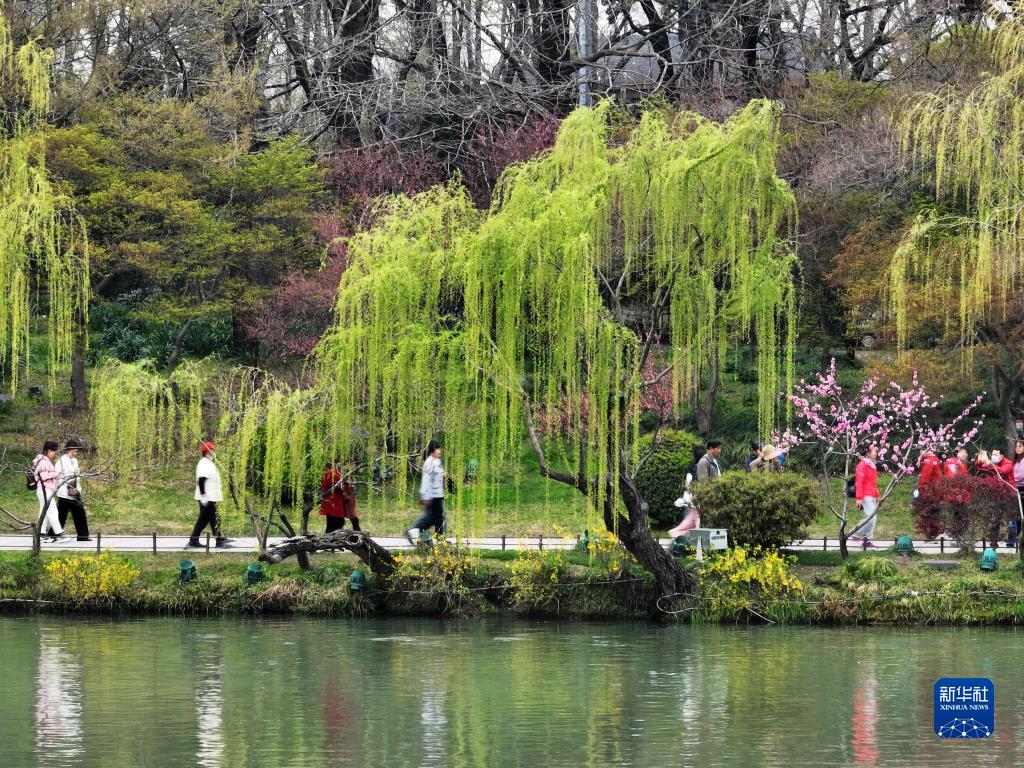 诗意中国——万条垂下绿丝绦