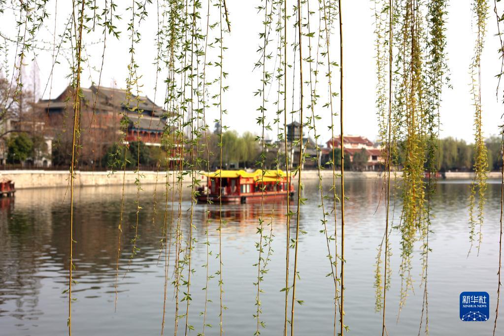 诗意中国——万条垂下绿丝绦