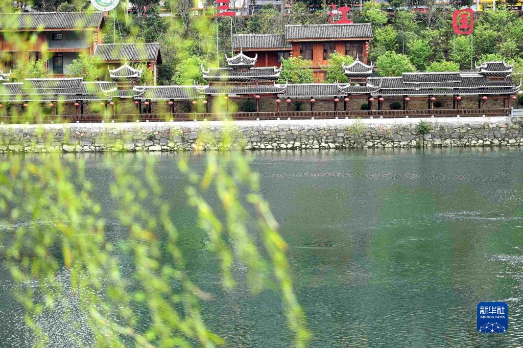 诗意中国——万条垂下绿丝绦