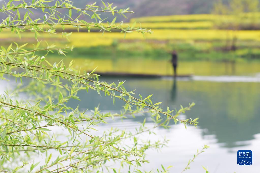 诗意中国——万条垂下绿丝绦