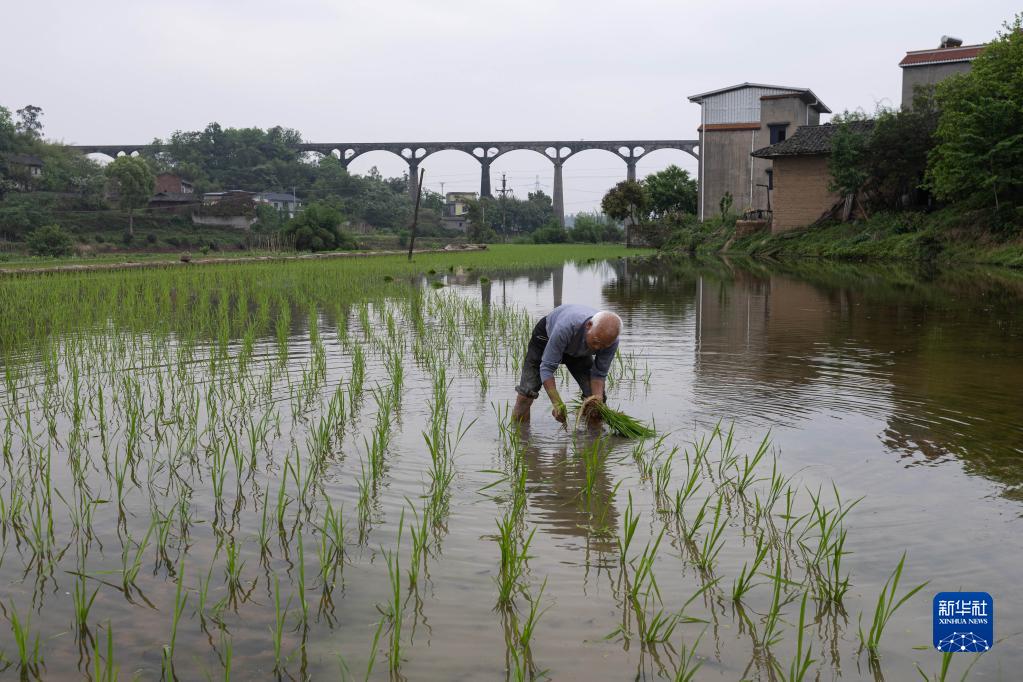 “人工天河”助力春耕