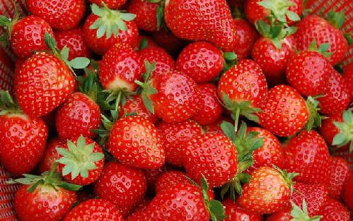 草莓当季 清洗保存有讲究
