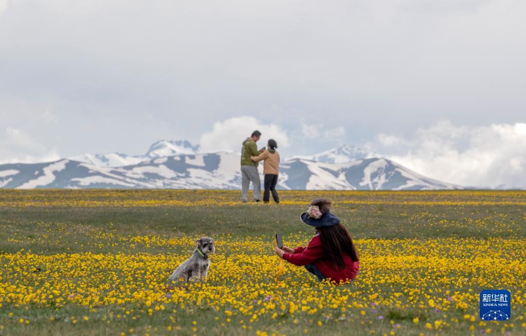 初夏赛里木湖美如画