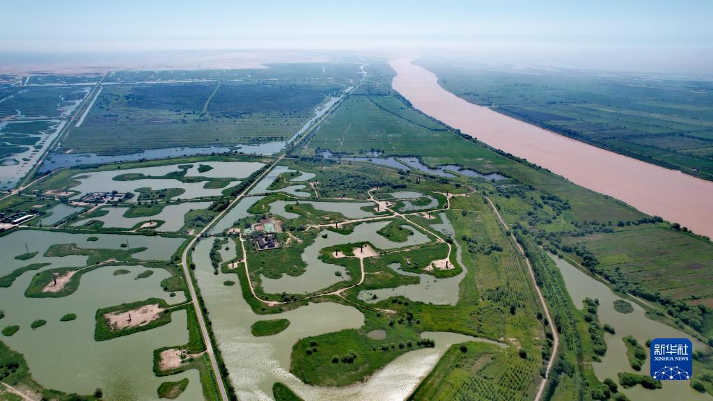 黄河三角洲的绿色变迁——黄河调水调沙期间生态补水见闻