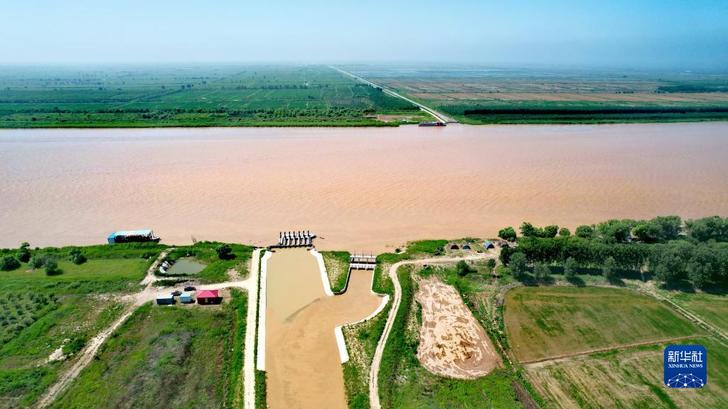 黄河三角洲的绿色变迁——黄河调水调沙期间生态补水见闻