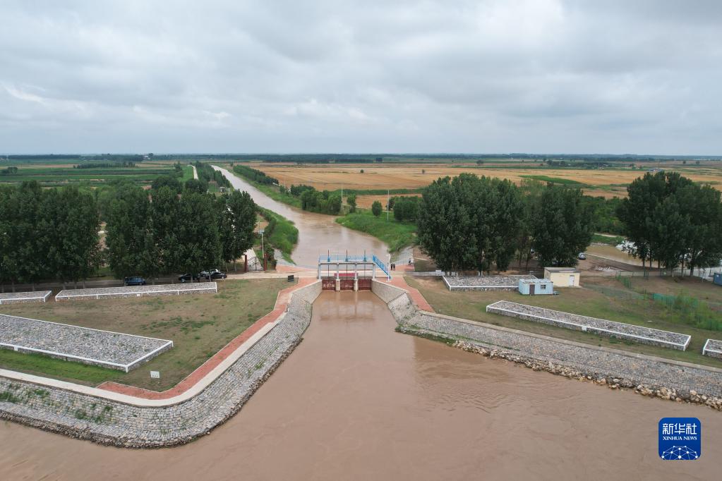 黄河三角洲的绿色变迁——黄河调水调沙期间生态补水见闻