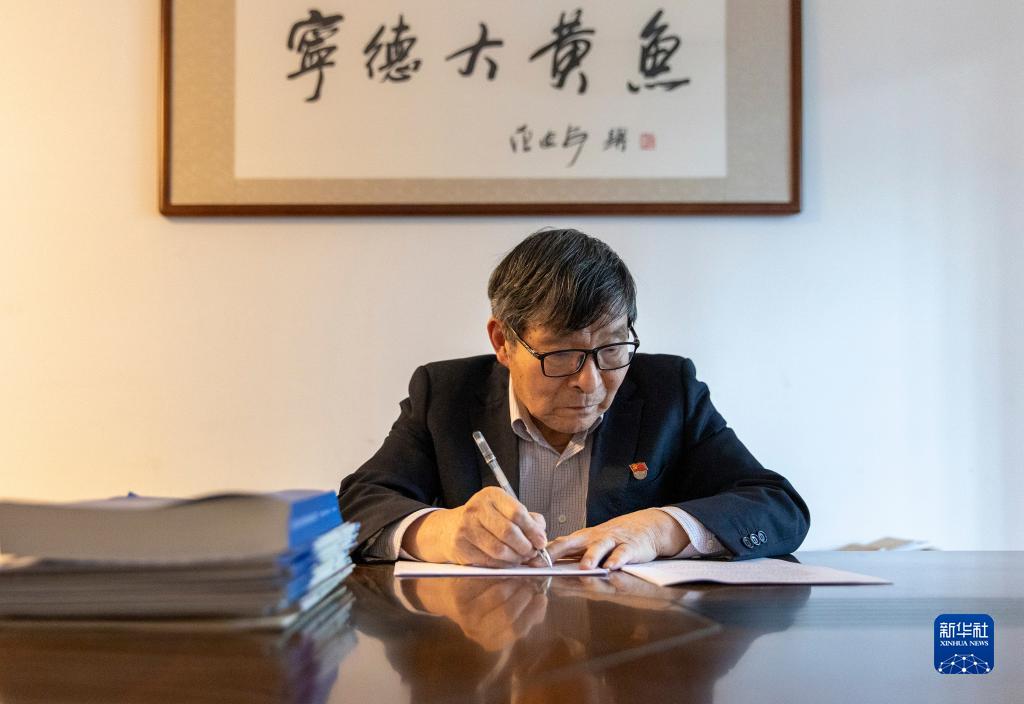 神州风物丨大黄鱼“重生”记