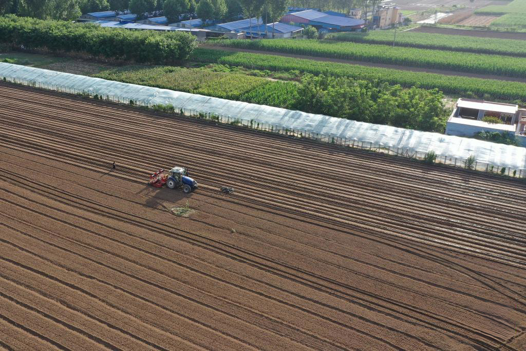 河北涿州:加快灾后复耕补种 8月18日,播种机在涿州市刁窝镇潘各庄村进行补种作业(无人机照片)。