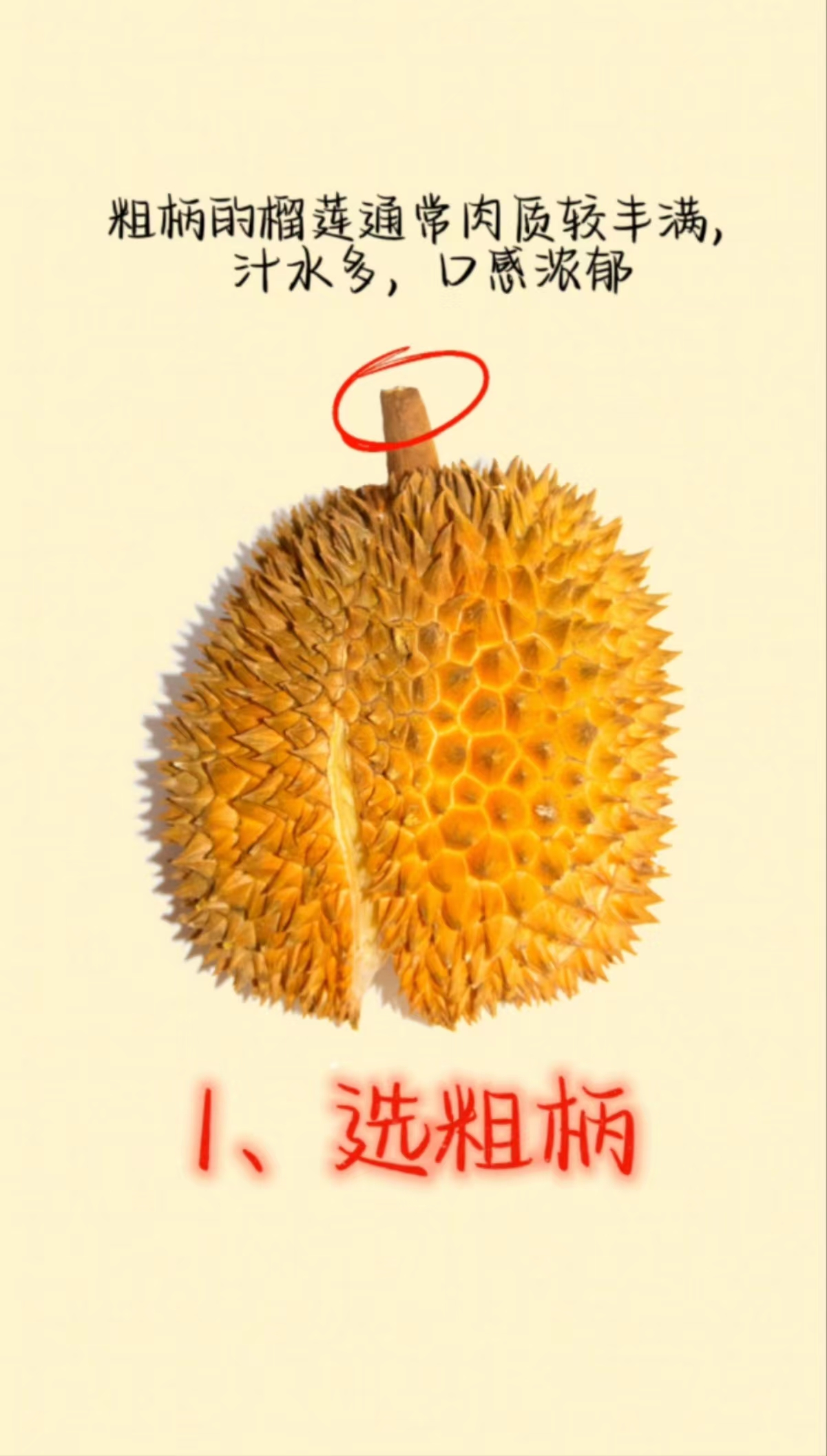 “国产榴莲”上市啦！别急，看完这篇文章再冲去买买买