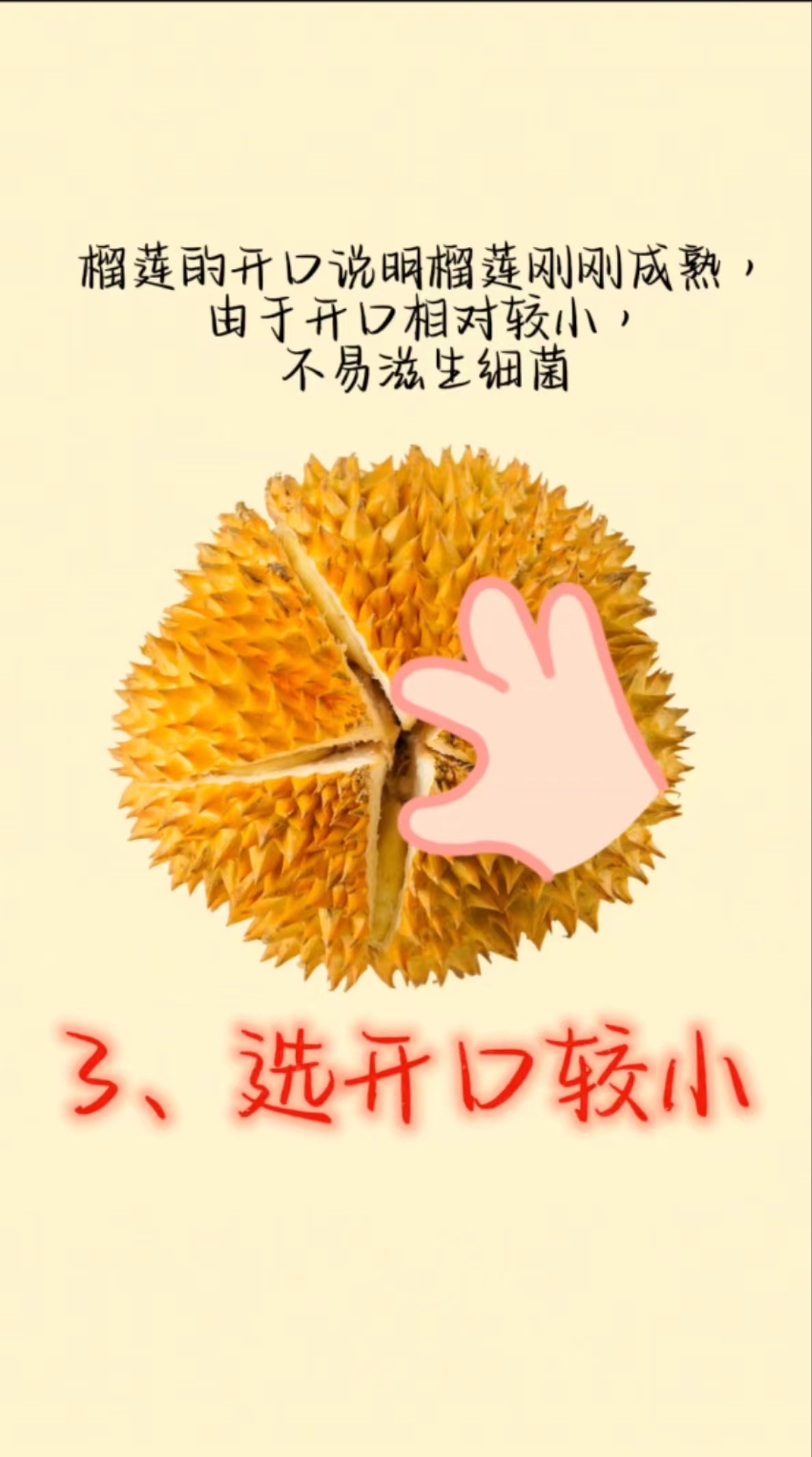 “国产榴莲”上市啦！别急，看完这篇文章再冲去买买买