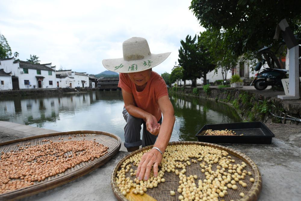 哦,乡愁!——诸葛村传奇 哦,乡愁!——诸葛村传奇
