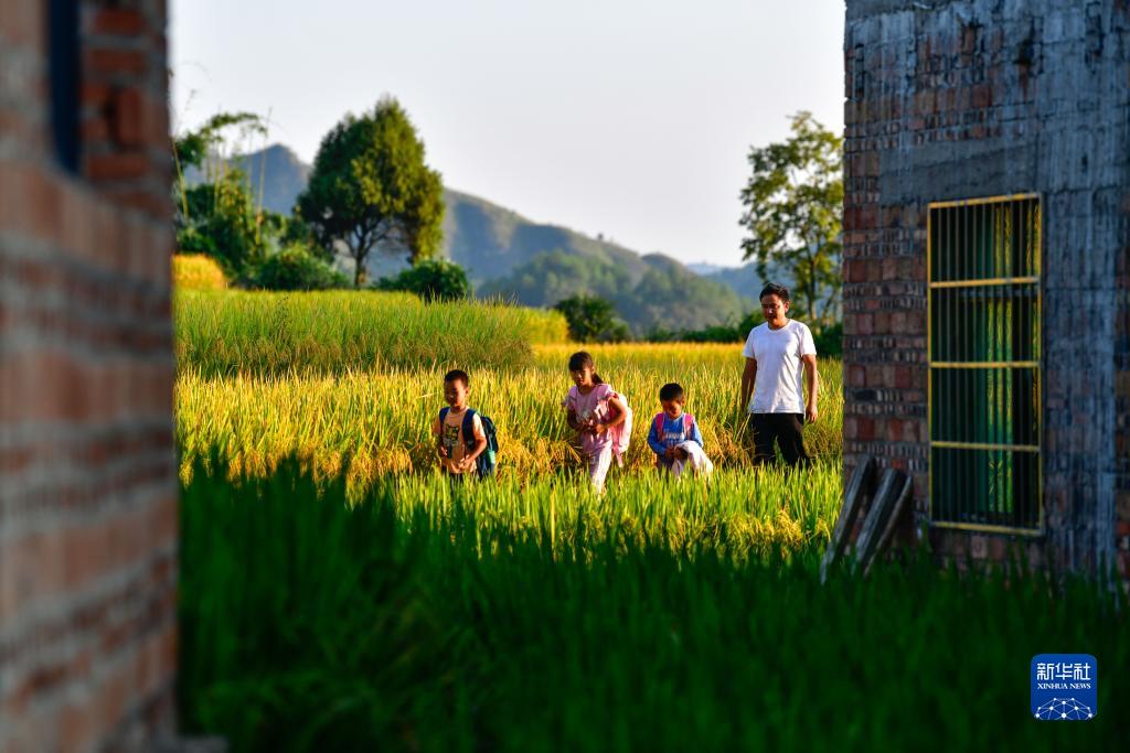 大山“微小学”的“守山人”