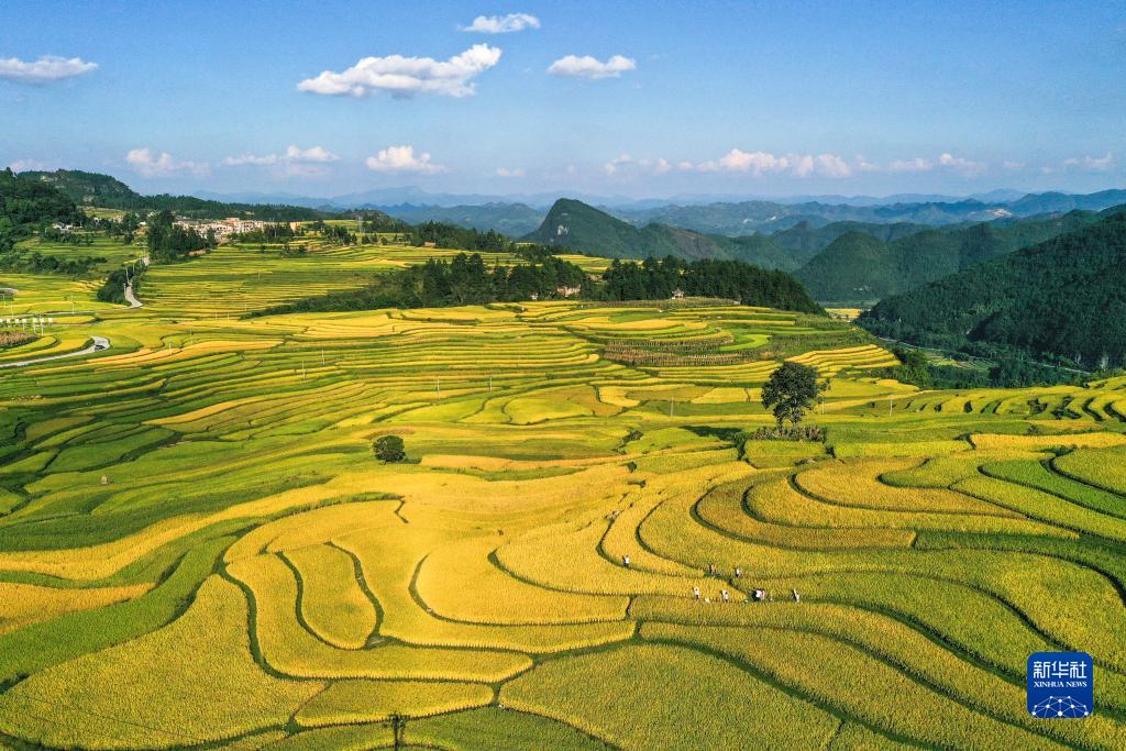 大山“微小学”的“守山人”