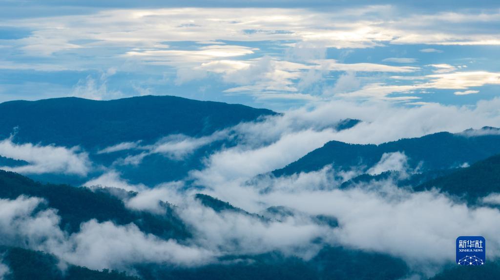 天空之眼瞰祖国——飞阅景迈山古茶林文化景观