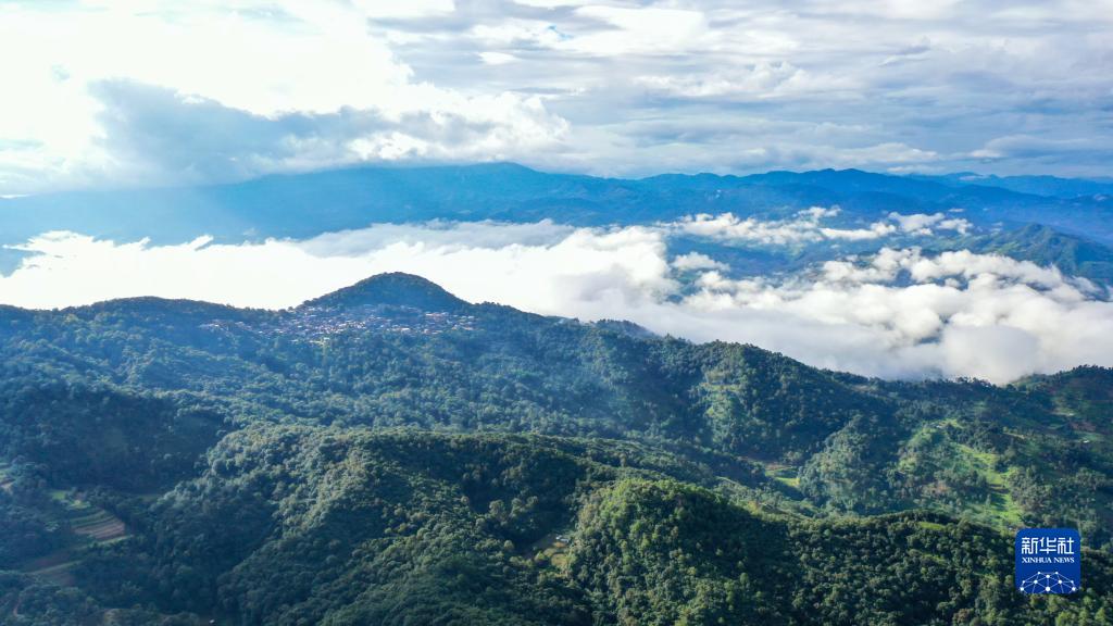 天空之眼瞰祖国——飞阅景迈山古茶林文化景观