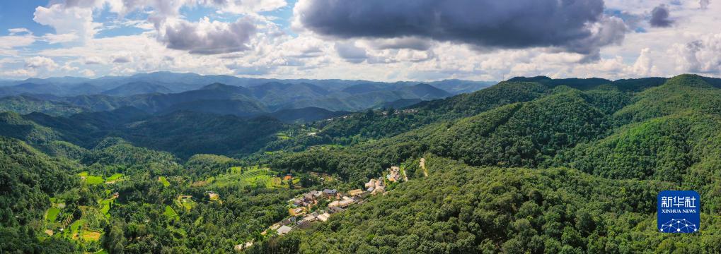 天空之眼瞰祖国——飞阅景迈山古茶林文化景观