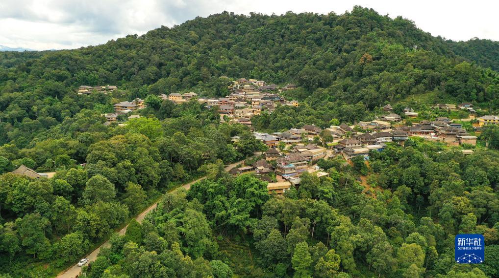 天空之眼瞰祖国——飞阅景迈山古茶林文化景观