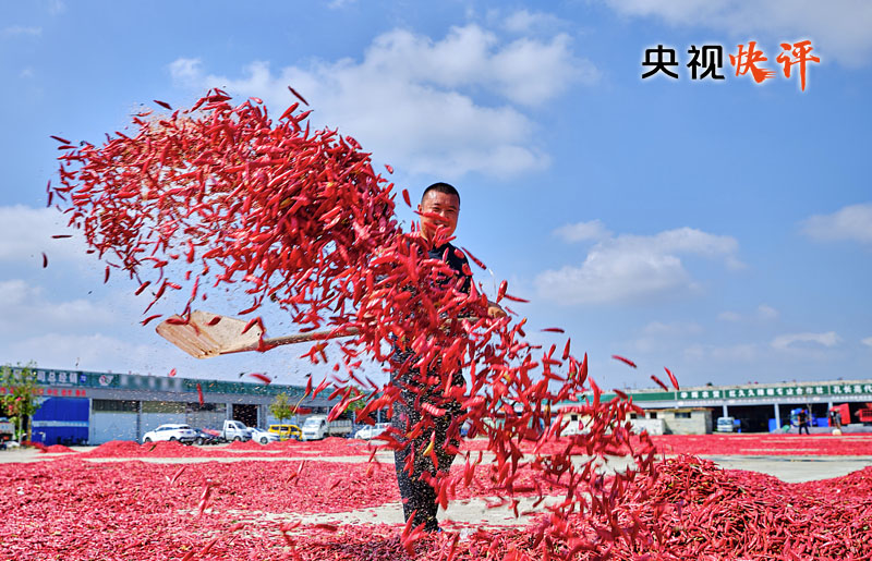 【央视快评】让农民腰包越来越饱读、活命越来越好意思好——庆祝第六个“中国农民丰充节”