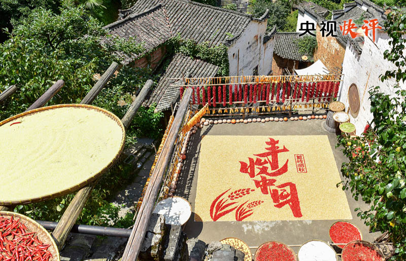 【央视快评】让农民腰包越来越饱读、活命越来越好意思好——庆祝第六个“中国农民丰充节”