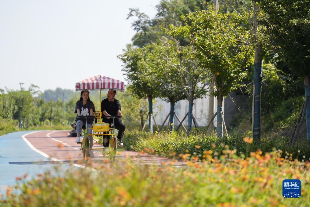 河北乐亭：废弃河道变身生态公园