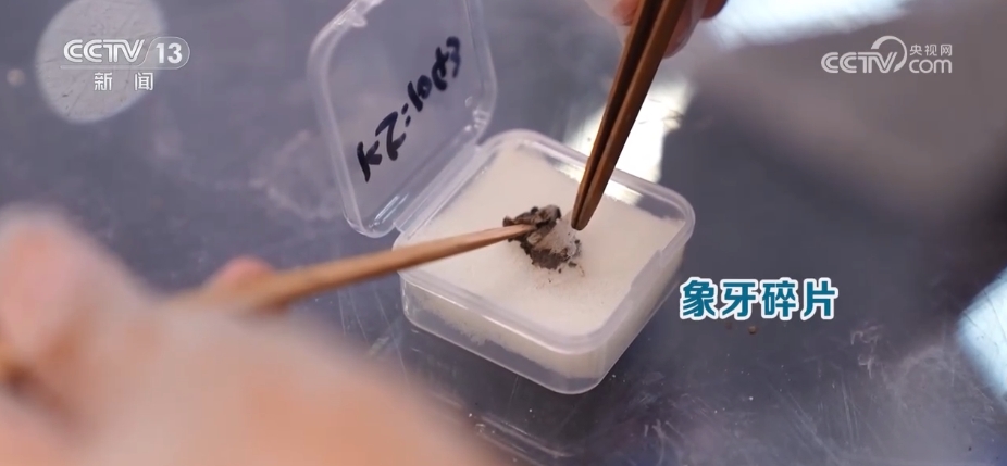 太会整活儿，这些“黑科技”让“沉默”的文物“开口”讲话