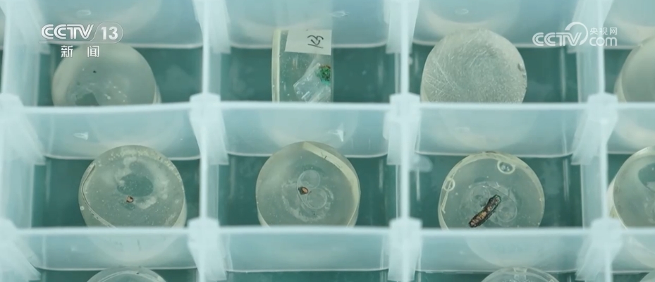 太会整活儿，这些“黑科技”让“沉默”的文物“开口”讲话