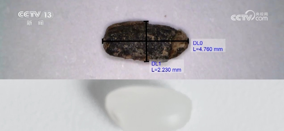 太会整活儿，这些“黑科技”让“沉默”的文物“开口”讲话