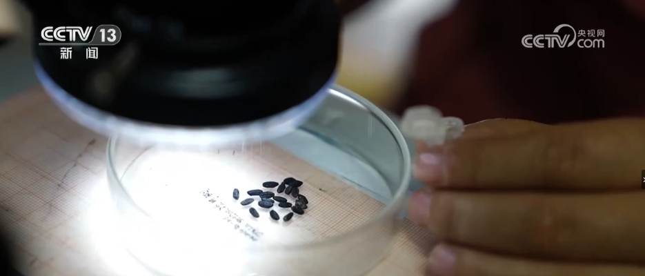 太会整活儿，这些“黑科技”让“沉默”的文物“开口”讲话