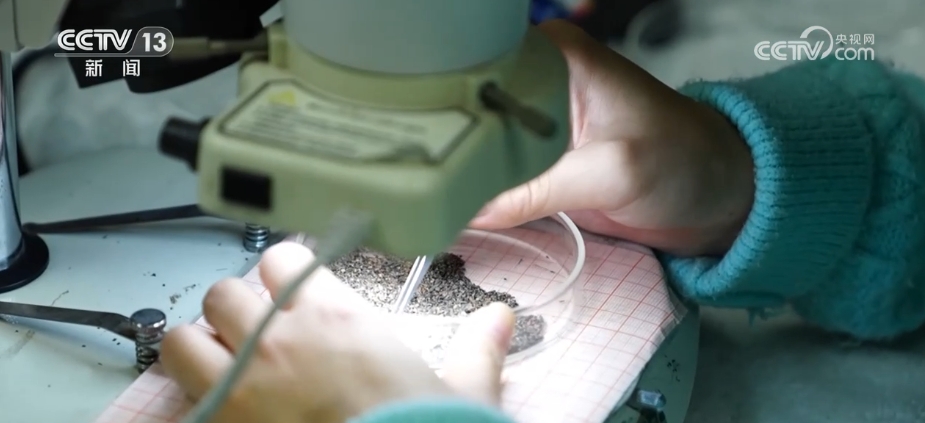 太会整活儿，这些“黑科技”让“沉默”的文物“开口”讲话