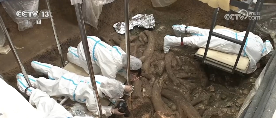 太会整活儿，这些“黑科技”让“沉默”的文物“开口”讲话