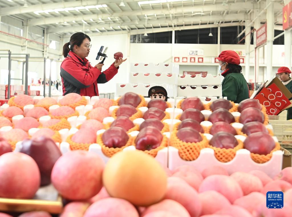 陕西洛川苹果丰收上市