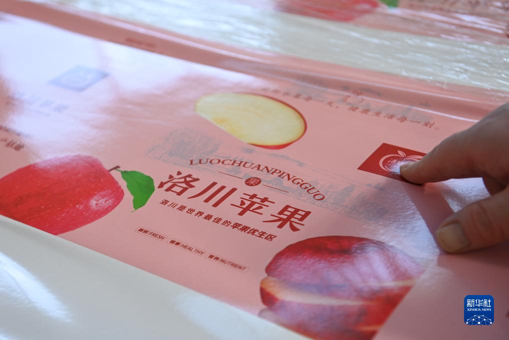 陕西洛川苹果丰收上市