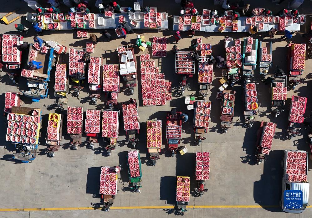 陕西洛川苹果丰收上市