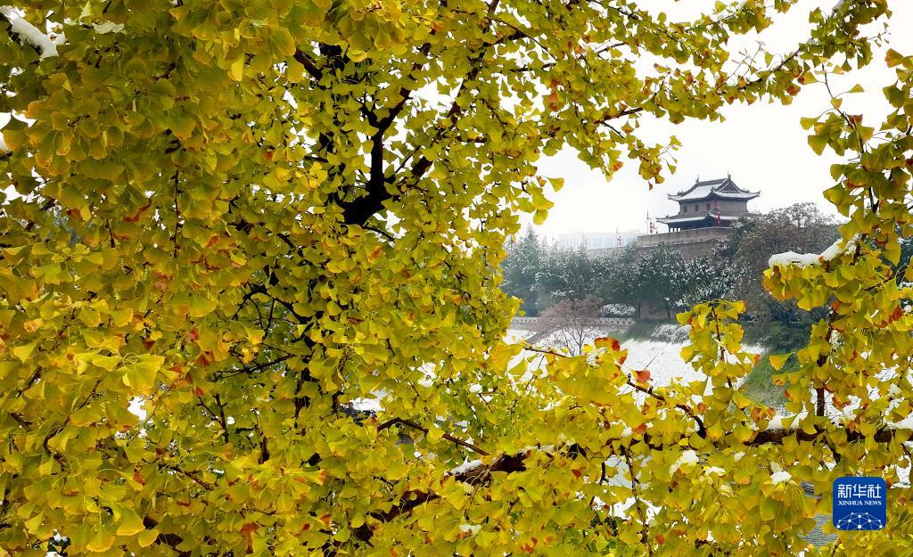 古都西安初冬迎初雪