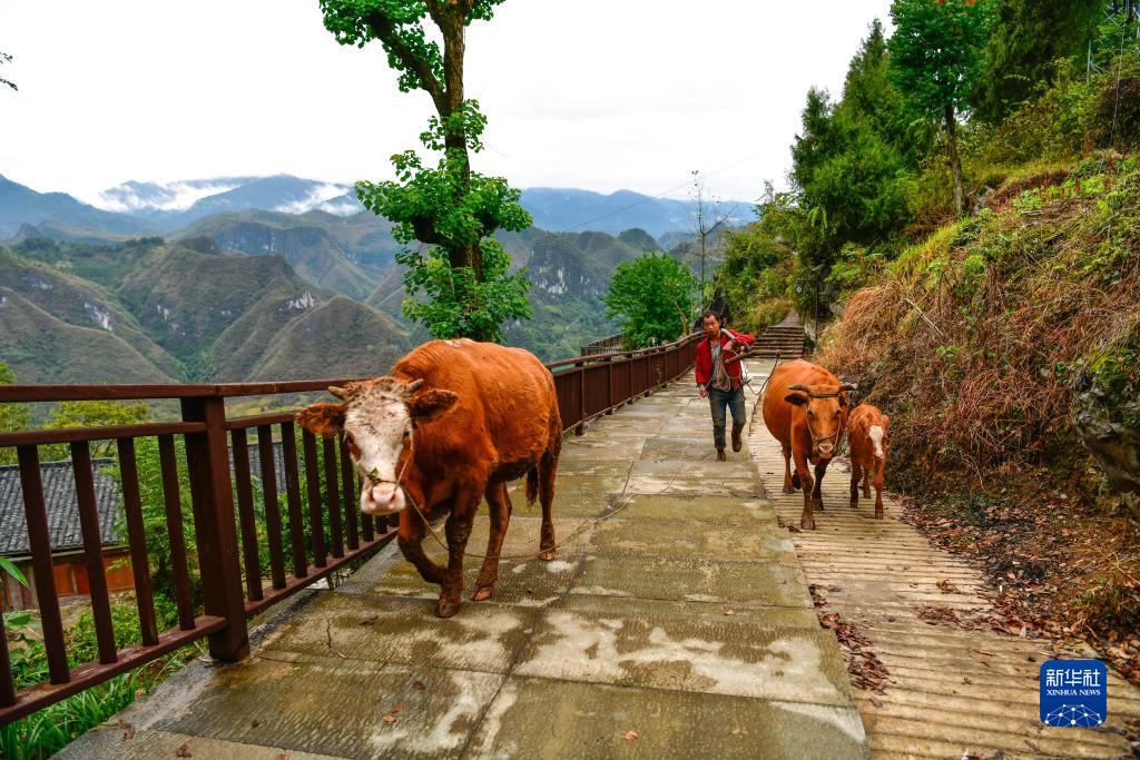 贵州石阡:古寨激活乡村振兴新动能