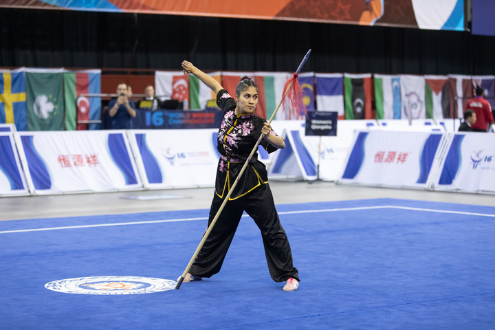 世锦赛上解读武术魅力密码