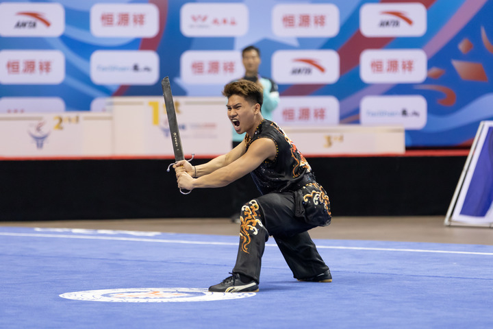 世锦赛上解读武术魅力密码