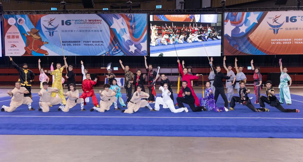 世锦赛上解读武术魅力密码