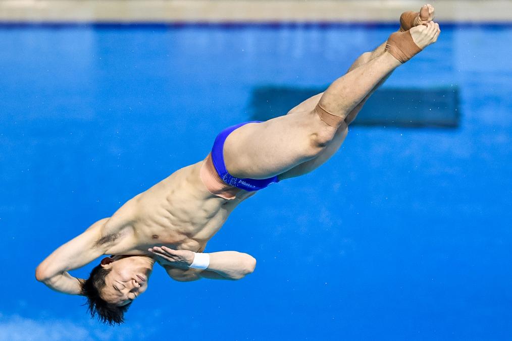 全国跳水锦标赛开赛 王宗源、陈芋汐夺金