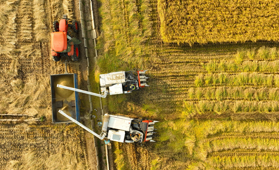 当好国家粮食安全“压舱石”——来自东北三省农业一线的最新观察