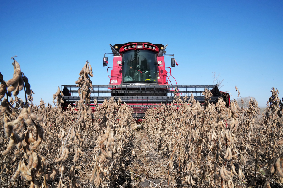 当好国家粮食安全“压舱石”——来自东北三省农业一线的最新观察